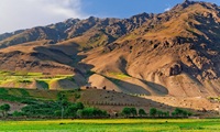 Ghazar 23 Pakistan